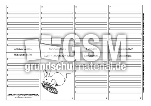 Eichhörnchen-Faltbuch-Steckbrief-achtseitig-4.pdf